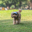 Chapéu ajustável para cães.