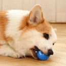 Bola inteligente para câes e gatos SmartBall-alívio para o stress do animal
