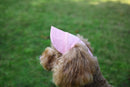 Chapéu ajustável para cães.