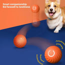 Bola inteligente para câes e gatos SmartBall-alívio para o stress do animal
