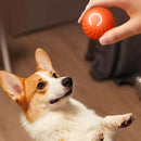 Bola inteligente para câes e gatos SmartBall-alívio para o stress do animal