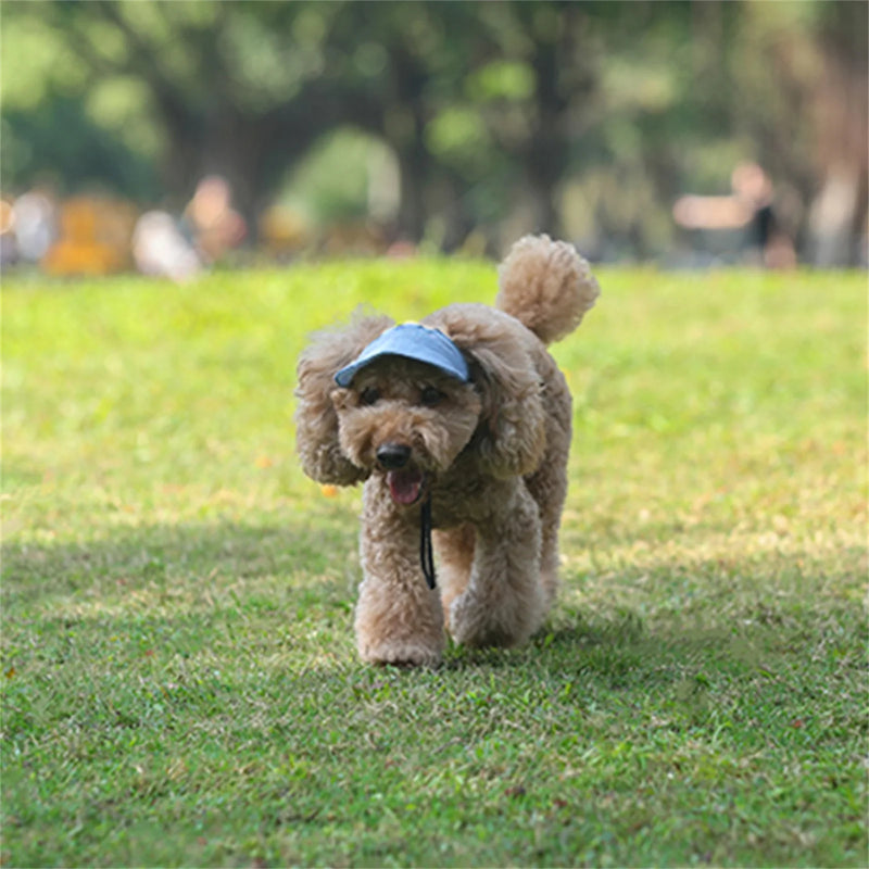 Chapéu ajustável para cães.