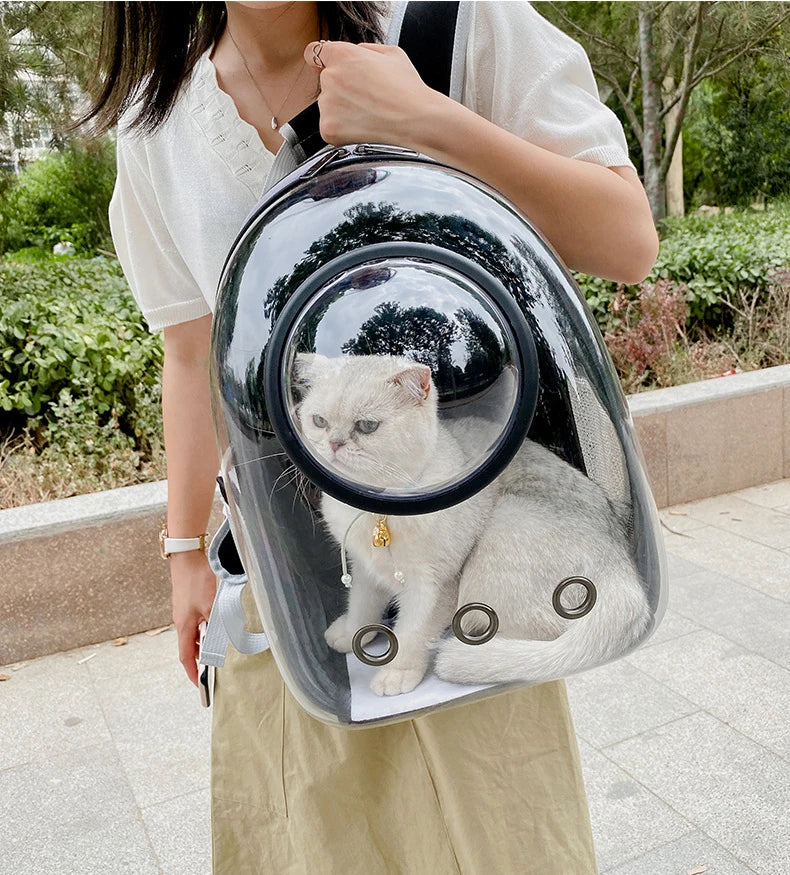 Mochila transportadora de cães pequenos e gatos