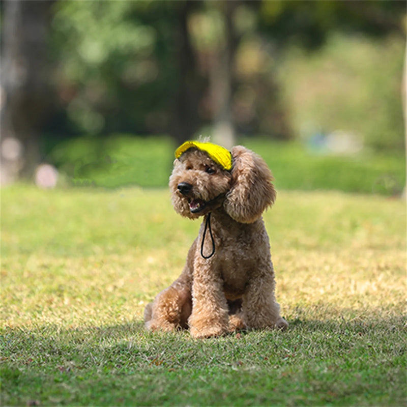 Chapéu ajustável para cães.