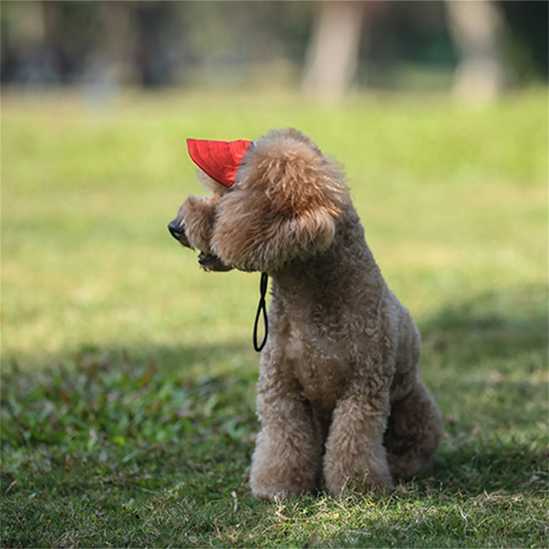 Chapéu ajustável para cães.