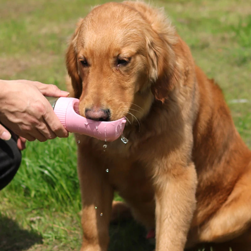 2 em 1 Garrafa pet de água para cães e gatos