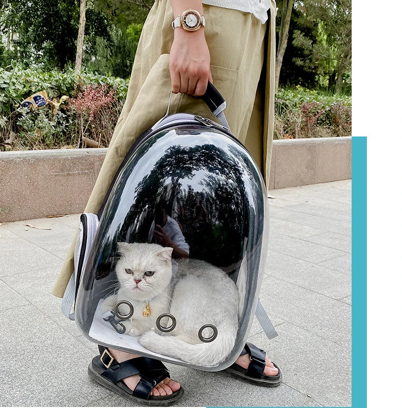 Mochila transportadora de cães pequenos e gatos