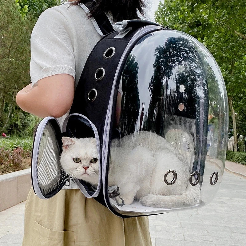 Mochila transportadora de cães pequenos e gatos