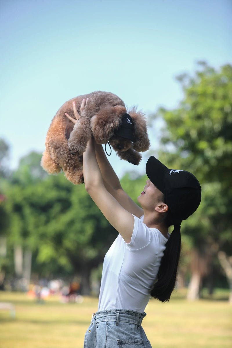 Chapéu ajustável para cães.